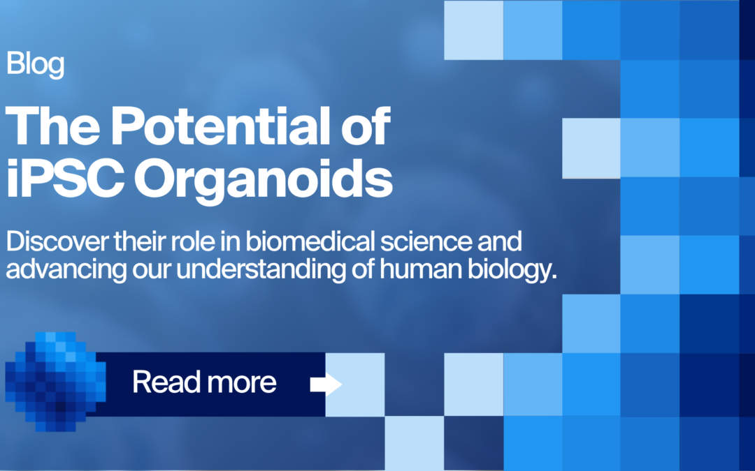 Exploring the Impact of iPSC-Derived Organoids on Biomedical Science