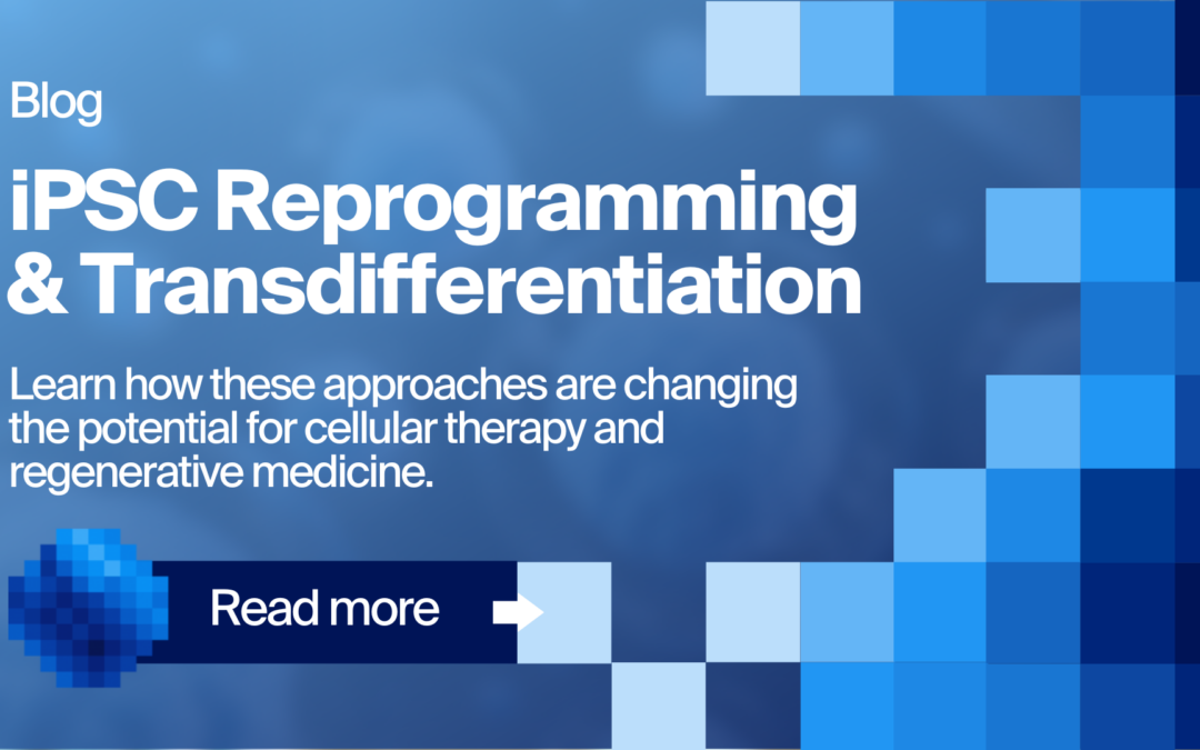 iPSC Reprogramming & Transdifferentiation