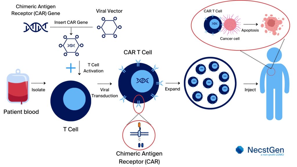 Overview of Chimeric Antigen Receptor (CAR) T cell therapy development