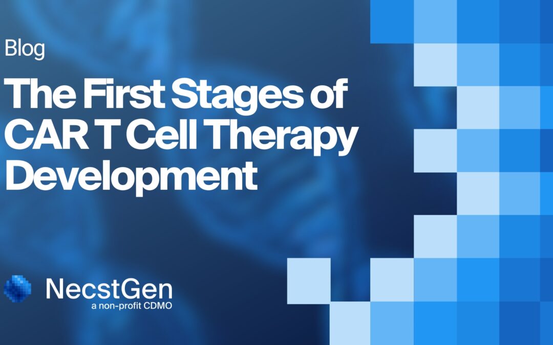 The First Stages of CAR T Cell Therapy Development